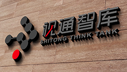 央視國際——視通智庫 央視國際——視通智庫